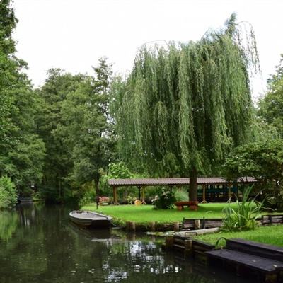 电子娱乐平台游戏大全