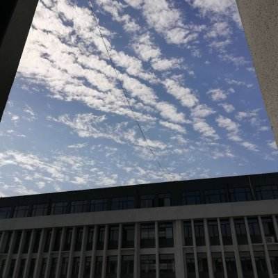 官方盈彩app下载